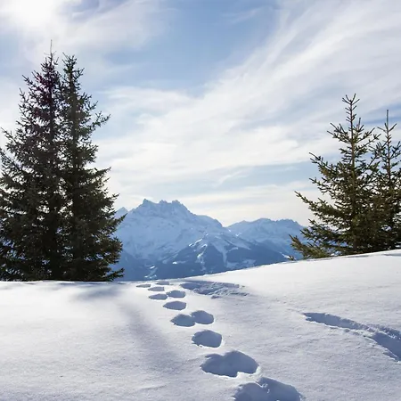 Hyacinthe 2 By Interhome * Villars-sur-Ollon