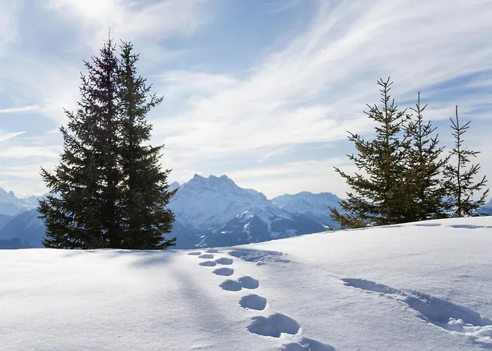 Hyacinthe 2 By Interhome * Villars-sur-Ollon