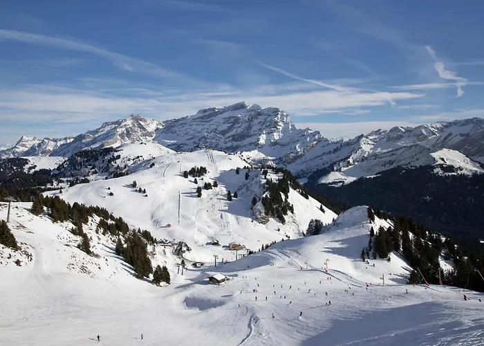 Hyacinthe 2 By Interhome Villars-sur-Ollon